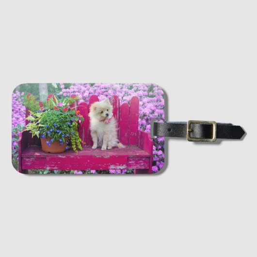 Pommerse puppy op Fuchsia Pink Garden Bench Bagagelabel (Voorkant (horizontaal))