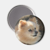 Pommerse ronde magneet (Voorkant / Achterkant)