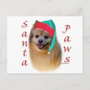 Pommerse Santa Paws Feestdagenkaart