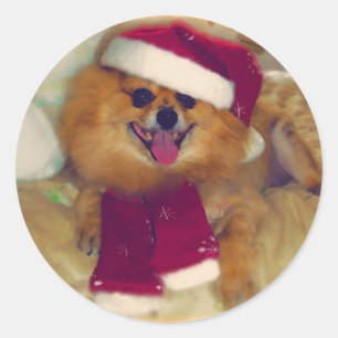 Pommerse Santa Xmas stickers