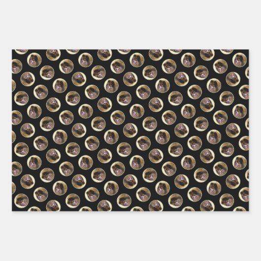 Pommerse Schilderij Sinaasappel Sable Originele Ho Inpakpapier Vel (Voorkant 3)