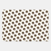 Pommerse Schilderij Sinaasappel Sable Originele Ho Inpakpapier Vel (Voorkant 2)