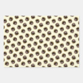 Pommerse Schilderij Sinaasappel Sable Originele Ho Inpakpapier Vel (Voorkant)