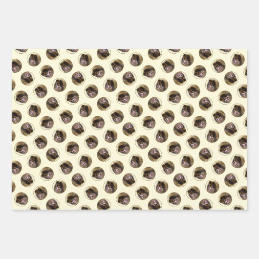 Pommerse Schilderij Sinaasappel Sable Originele Ho Inpakpapier Vel (Voorkant)