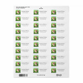 Pommerse St. Patrick's Day Retouradres Etiket (Full Sheet)