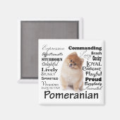 Pommerse trekmagneet magneet (Voorkant / Achterkant)