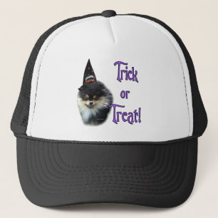 Pommerse truc trucker pet