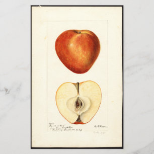 Pomologische Aquarel Marshall Red Scrapbook Pagina