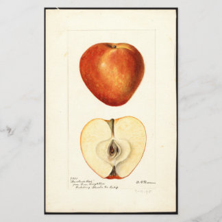 Pomologische Aquarel Marshall Red Scrapbook Pagina