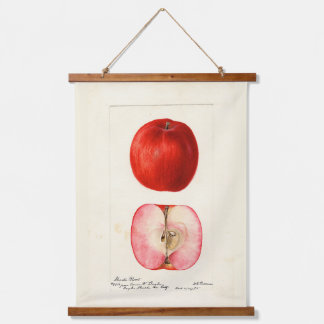 Pomologische Waterkleur Shasta Variëteit Hangend Wandkleed