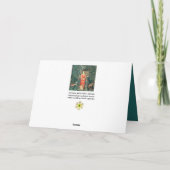 POMONA HOLDING FRUITS IN GREENERY, BOSBOUWDIEREN FEESTDAGEN KAART (Achterkant)