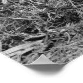 Pomp: 1913 poster (Hoek)