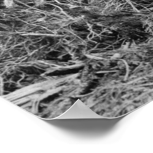 Pomp: 1913 poster (Hoek)