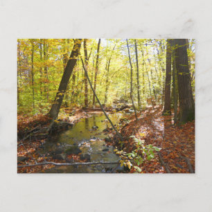 Pomp House Trail in de herfst Briefkaart
