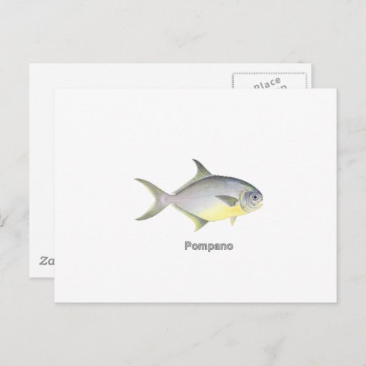 Pompano (titel) briefkaart (Voorkant / Achterkant)