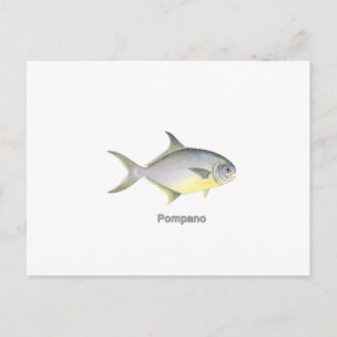 Pompano (titel) briefkaart