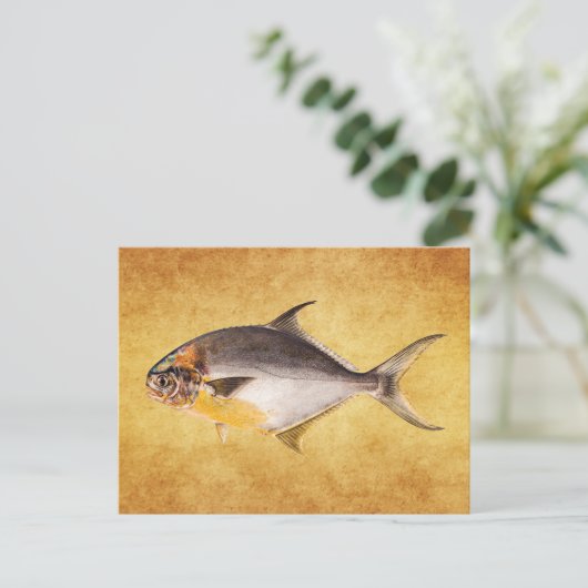  Pompano-vis - Spaarvisserij Sjabloon blanco Briefkaart (Staand voorkant)