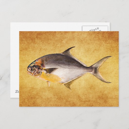 Pompano-vis - Spaarvisserij Sjabloon blanco Briefkaart (Voorkant / Achterkant)