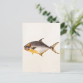  Pompano-vis - Spaarvisserij Sjabloon blanco Briefkaart (Staand voorkant)