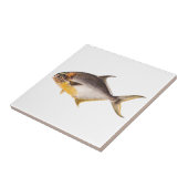 Pompano-vis - Spaarvisserij Sjabloon blanco Tegeltje (Zijkant)