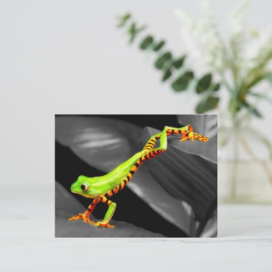 Pompboomkikker Briefkaart (Staand voorkant)