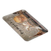 Pompei. Nr. 9. Magneet (Rechterzijde)