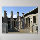 Pompei Pgereserveerde Poster (Voorkant)