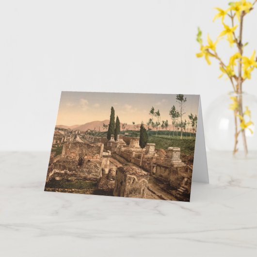 Pompei, Straat van de Kaart van de Nota van Graven (Gele Bloem)