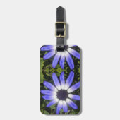 Pompeia Bagagelabel (Voorkant verticaal)