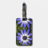 Pompeia Bagagelabel (Achterkant verticaal)