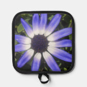 Pompeia Pannenlap (Voorkant)