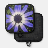 Pompeia Pannenlap (Voorkant / Achterkant)