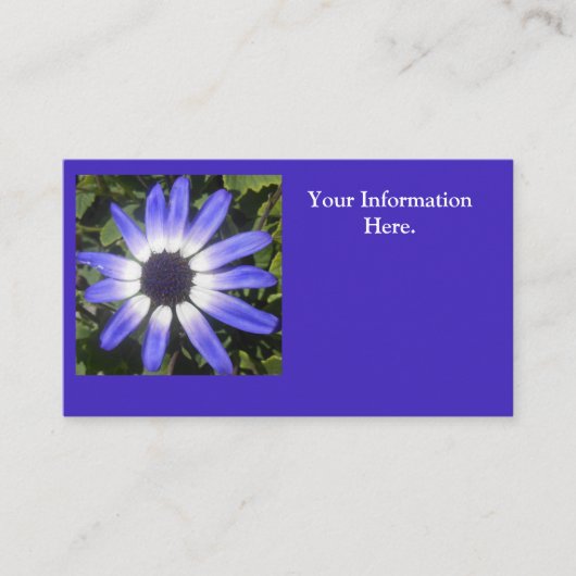 Pompeia Visitekaartje (Voorkant)