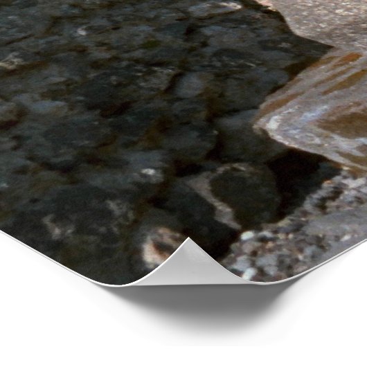 Pompeii, bakkerij, met molenstenen en oven poster (Hoek)