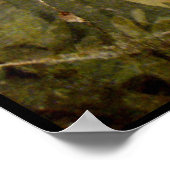 POMPEII-COLLECTIE / DOVE IN DE GARDEN POSTER (Hoek)