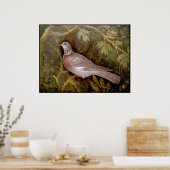 POMPEII-COLLECTIE / DOVE IN DE GARDEN POSTER (Keuken)
