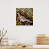 POMPEII-COLLECTIE / DOVE IN DE GARDEN POSTER (Keuken)