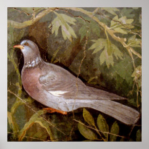 POMPEII-COLLECTIE / DOVE IN DE GARDEN POSTER