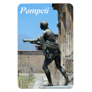 Pompeii Flexi Magnet Magneet