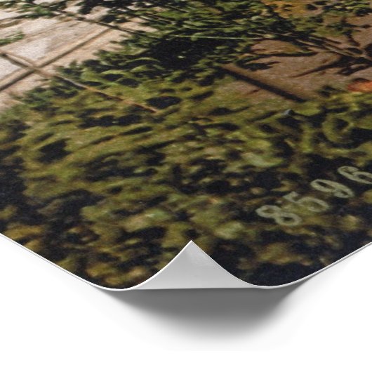 Pompeii Poster (Hoek)