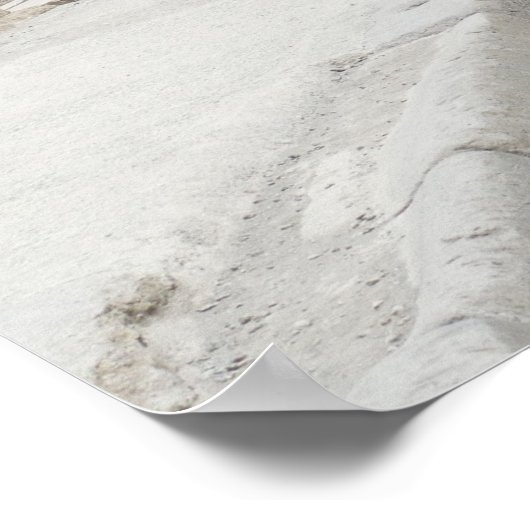 Pompeii Poster (Hoek)