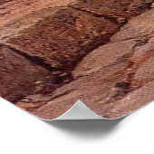 POMPEII STREET SCENE POSTER (Hoek)