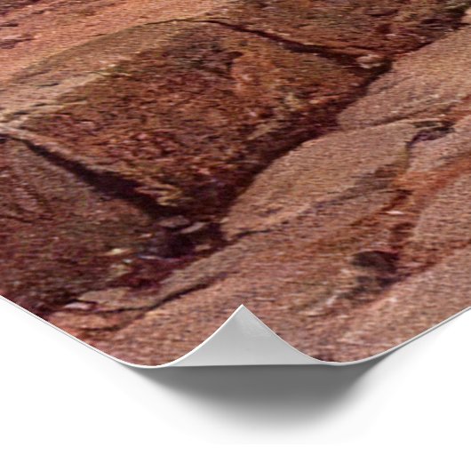 POMPEII STREET SCENE POSTER (Hoek)