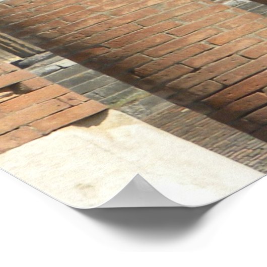 Pompeii-Vesuvius Poster (Hoek)