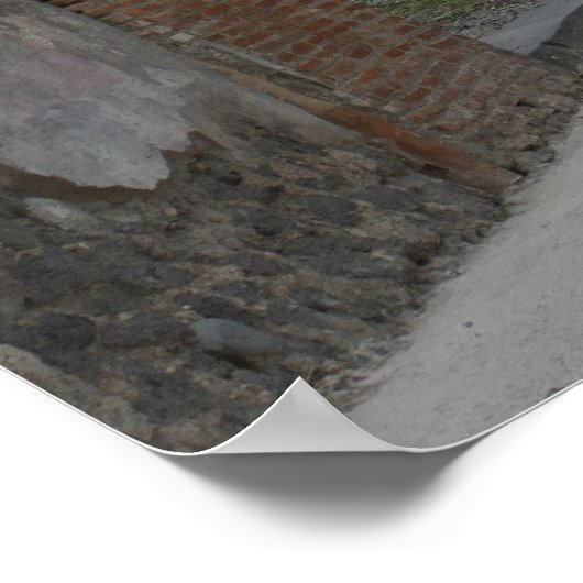 Pompeii-Vesuvius Poster (Hoek)