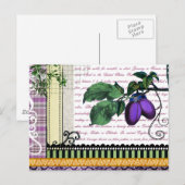 pompelmoes, fruitcollage briefkaart (Voorkant / Achterkant)
