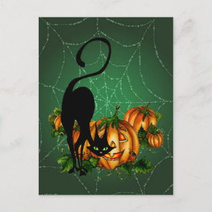 POMPKIN PATCH, ZWARTE CAT EN WEB, DOOR SHARON SHAR BRIEFKAART
