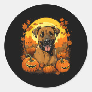 Pompoen Black Mouth Cur Hond Halloween Thanksgivin Ronde Sticker