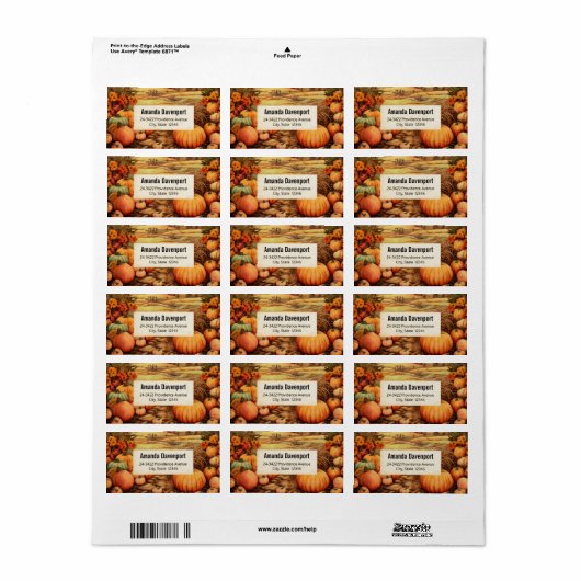 Pompoen Boerderij Herfst Oogst Thanksgiving Adres Etiket (Full Sheet)