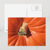 pompoen briefkaart (Voorkant / Achterkant)
